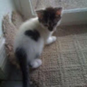 Meet your Posher, Kennedy